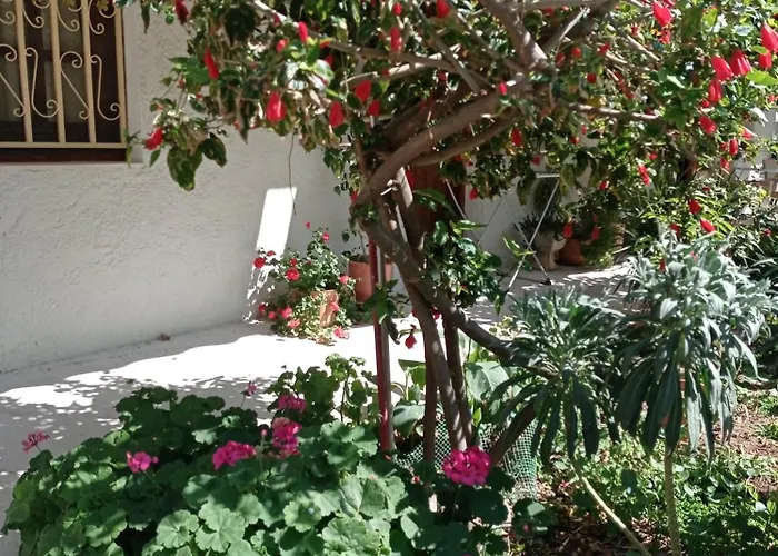 Tasos Seagull Lägenhet *