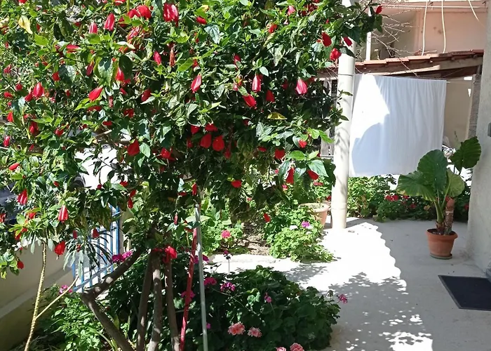 Lägenhet Tasos Seagull