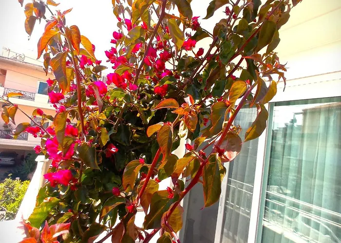 Tasos Seagull Lägenhet *