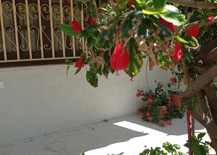 Tasos Seagull Apartman *