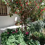 Tasos Seagull Apartament *