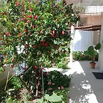 Apartament Tasos Seagull