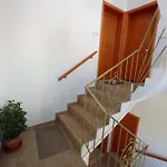Tasos Seagull Apartament *