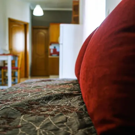 Tasos Seagull * Chania (Crete)