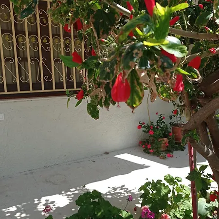 Tasos Seagull Lägenhet *