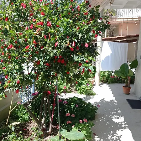 Apartamento Tasos Seagull