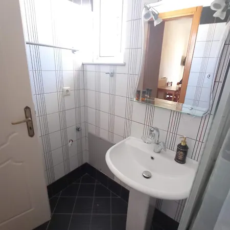 Tasos Seagull * Chania (Crete)