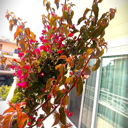 Tasos Seagull Lägenhet *